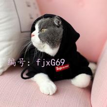 벻