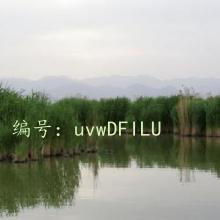 赸