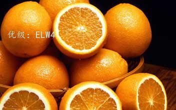 ļ