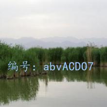 Ͻ