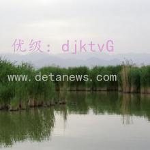 λ