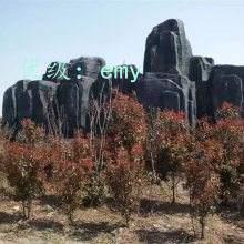 λ
