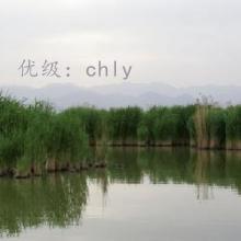 λ