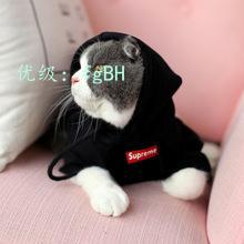 赸