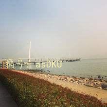 赸