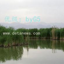 赸