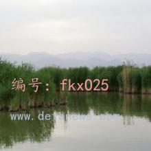 赸