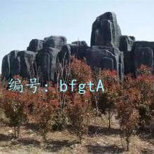 赸